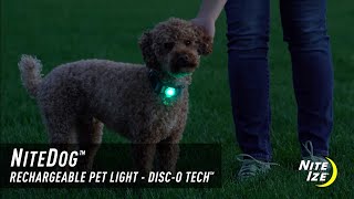 NiteDog™ Rechargeable Pet Light  DiscO Tech™ [upl. by Leakim]