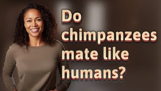 Do chimpanzees mate like humans [upl. by Ahsenyt]