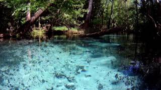 Gilchrist Blue Springs State Park Kayak Bow Cam Above the Surface [upl. by Grassi]