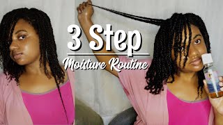 THE SIMPLEST MOISTURE ROUTINE FOR GROWING LONG HEALTHY NATURAL HAIR as a Lazy Natural growhair 4c [upl. by Coralie]