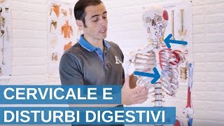 CERVICALE e STOMACO come migliorare la DIGESTIONE con ESERCIZI mirati [upl. by Gnilhsa]