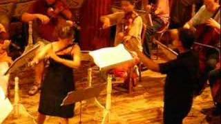 Karin Leitner plays Mozart Flute Concerto 2nd mvt [upl. by Hildy]