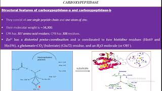 Carboxypeptidases  Zinc enzyme [upl. by Eniamreg]