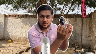 ASMR Outside  Fast and Aggressive triggers ACMP 😎😴 [upl. by Genesia170]