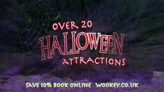 Halloween at Wookey Hole  New Chamber 20 Witchs Grotto [upl. by Dempstor]