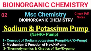 Sodium amp Potassium PumpNaKATPase bioinorganic mscchemistry bscchemistry itschemistrytime [upl. by Enia]