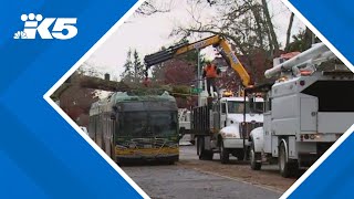 How does recent bomb cyclone compare to past Washington wind storms [upl. by Carbone]