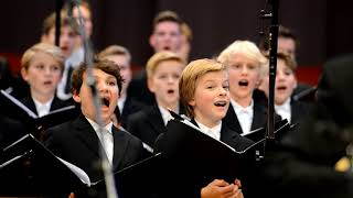 In Dir ist Freude  Knabenchor Hannover [upl. by Neeneg123]