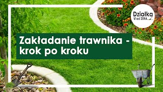 Zakładanie trawnika w 7 krokach [upl. by Enrichetta]