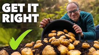 Potato Growing Masterclass My Tips for a Bigger Better Harvest [upl. by Marou]