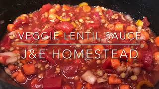 Veggie Lentil Sauce [upl. by Kowtko]