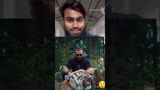 Tiger ￼🐅😮￼shorts youtubeshorts ￼ [upl. by Nylakcaj]