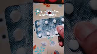 dog tick flea remove 100 [upl. by Annam771]