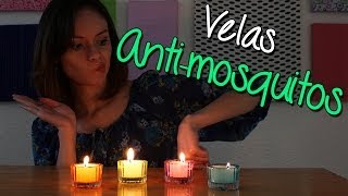 Como Hacer Velas Antimosquitos de Citronela  Caseras y Naturales  Catwalk [upl. by Lantz]