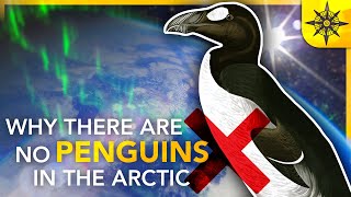 Why There Are NO Penguins in the Arctic  Island Biogeography 2 [upl. by Siderf189]