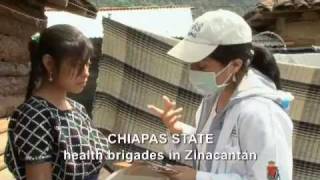 2009 H1N1 Influenza Pandemic Mexico [upl. by Ymar]