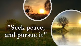 Word of Life February 2019  Seek peace and pursue it [upl. by Clorinde758]