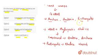 On the basis of rRNA genes bacteria are divisible into [upl. by Alletsirhc736]