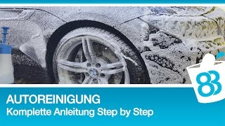 Professionelle Autoreinigung  Komplette Anleitung Step by Step [upl. by Henricks590]