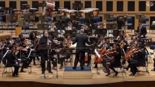 Carl Nielsen  Clarinet Concerto Op57  Adapted for Bass Clarinet [upl. by Alit]