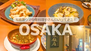 【VLOG】【大阪本町】瀧谷飯店にいってきたYO！爆食べしすぎな私たちはフードファイターかな？ [upl. by Ricardo]