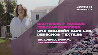 Bacterias y hongos descomponedores una solución para el desecho textil [upl. by Eillas]