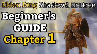 Elden Ring amp SOTE Step by Step Beginners Guide Chapter 1 level up to 35 in 30 min fresh start [upl. by Akihsan]