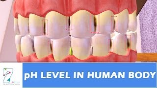 pH Level in human body [upl. by Kassey]