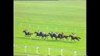 1989 General Accident 1000 Guineas Stakes [upl. by Elleiram]