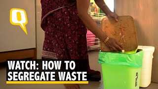 Want to Save the Environment Begin Segregating Waste [upl. by Ai151]