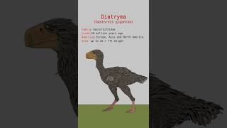 DIATRYMA TERROR BIRDS DATA  Gastornis Gigantea Prehistoric Birds  Extinct Animals [upl. by Byrom454]