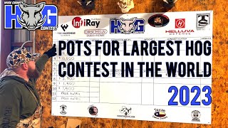 2023 Wise County Hog Contest Pots [upl. by Cutlerr668]