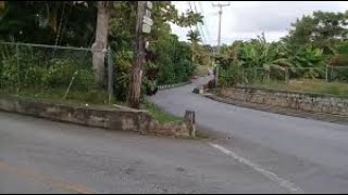 Welchman Hall St Thomas Barbados 🇧🇧 [upl. by Lunn]