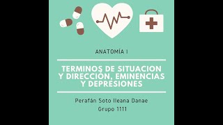 Términos de situación y dirección Eminencias y depresiones  Anatomía Veterinaria I 👩🏻‍⚕️✨ [upl. by Kcireddor]