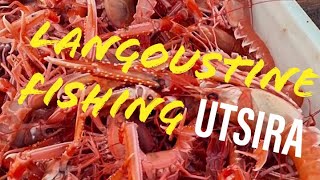 Langoustine Fishing Utsira [upl. by Lyle214]