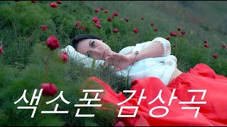 색소폰 듀엣 감상곡 가요7곡 [upl. by Adrahc]