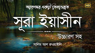 সূরা ইয়াসীন এর আবেগময় তিলাওয়াত । Surah Yasin Bangla Recited by Salim Al Ruwaili । Ya Sin Channel [upl. by Ellehcim]