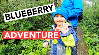 Blueberry Adventure in Juneau Alaska [upl. by Darraj]