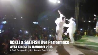 ACKEE amp SALTFISH Live WEST KINGSTON JAMBOREE 2015 Stage Angle [upl. by Euqram160]