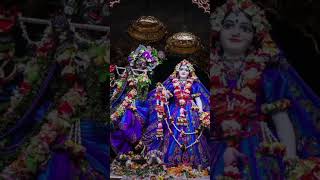 Rade Rade Rade Song radhakrishna virindavan varshnashorts [upl. by Ettellocin136]