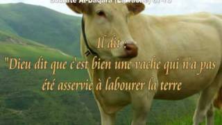 Sourate AlBaqara La vache abdelbasset abdessamad la plus belle voix quotLe Prophète Moïsequot [upl. by Sirotek475]