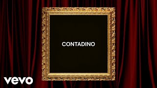 Articolo 31  CONTADINO Lyric Video [upl. by Walburga248]