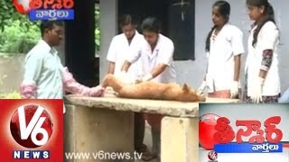 Dogs Problem in Warangal  Family Planning  Teenmaar News [upl. by Ennaeirb]