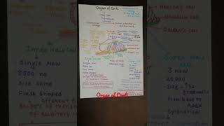 Organ of Corti shorts viral youtubeshorts [upl. by Lisha534]