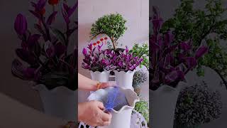 Beautiful flowers pruning plants in pot put at home amazing garden flower diy [upl. by Alysoun39]