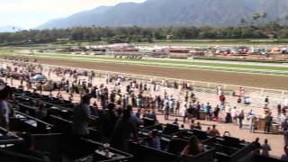 A Walk Around Santa Anita Park Los Angeles [upl. by Eyatnod679]