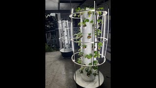 How To Setup Aeroponic Tower Garden  Air Stacky [upl. by Eimarej]