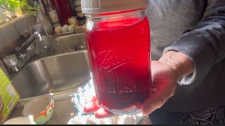 Beet Kvass foodbankBeets Foodbank healthierlife Gingerbug [upl. by German480]