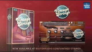 Vintage Strings Official Trailer [upl. by Aikemat]