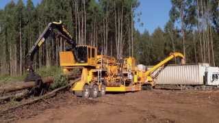 CBI Magnum Force Flail 604 amp Magnum Force 754 Disc Chipper [upl. by Mada609]